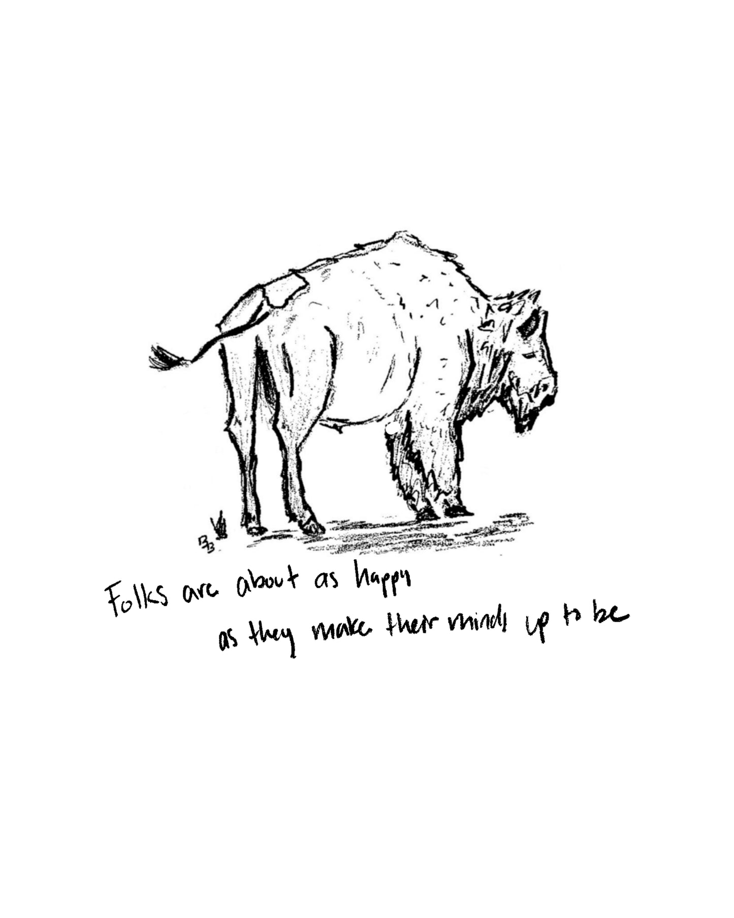 "Bison Folks" Design Rights